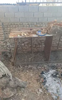 قفس پرنده