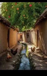 سالنکار ماهراقا