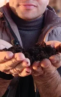کمپوست . بایوکمپوست گیاهی . اصلاح خاک