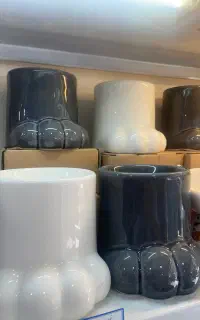 ظرف غذا گربه