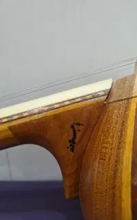 کمانچه حرفه ای