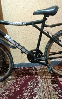دوچرخه