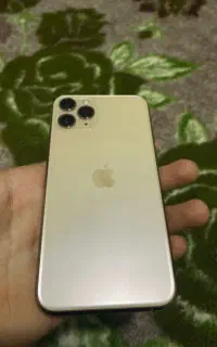 iPhone 11 Pro