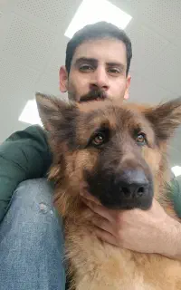 دامپزشک در محل