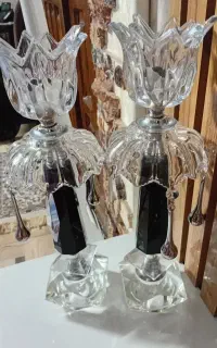 ۲عدد لاله درحد نو اما خارجی بفروش میرسه