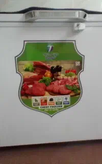 فلیزرصندوقی‌