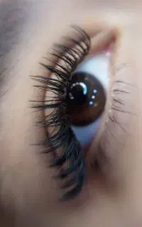 خدمات تخصصی اکستنشن مژه و لیفت و لمینت مژه و ابرو