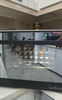 توستر