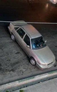 دوو سیلو 81