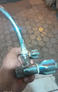 شیر دوقلو