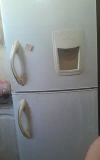 یخچال تمیز