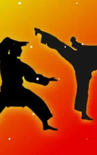 آموزش کونگ فو دفاع شخصی
