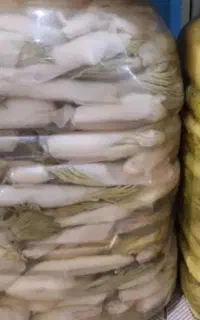 ترشی زو غنچه تازه وترجیک امسال