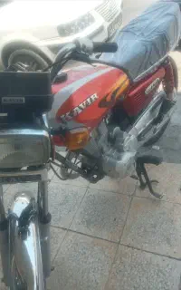 موتر کویر