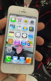 iPhone 5