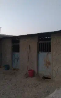 اسطبل اجاره و بکس اسب اجاره