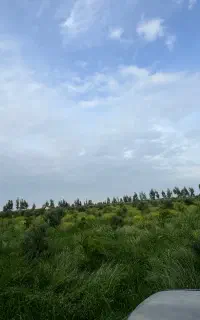 کارگر ساده شبانه روزی
