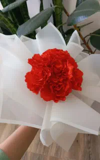 گل روبانی