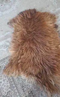 پوست گوسفند