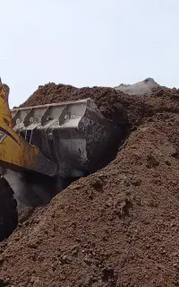 کودحیوانی گاوی و گوسفندی خالص با کیفیت چندساله