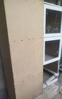 قفس