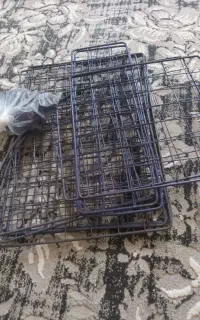 قفسه‌‌