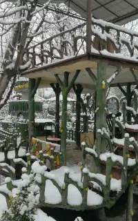 سرمایه گذار