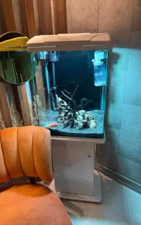 آکواریوم aqua