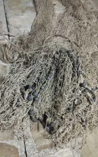 سرب تور ماهیگیری