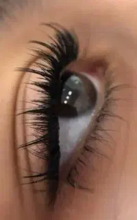 مژه هیدن