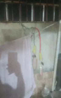 کش ورزشی