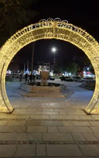 برقکار برق کار برقکش برق کش برقی برق کشی ساختمان