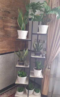 استند گلدان