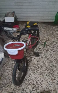 دوچرخه