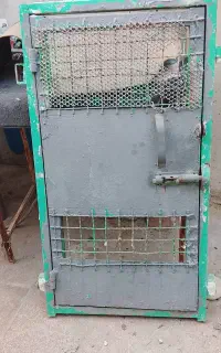 در مخصوص خانه حیوانات کبوتر مرغ