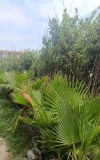 نیازمند کارگر