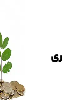 سرمایه‌گذاری