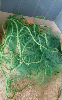 تور ماهی کزاری