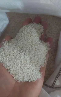 برنج