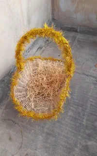 سبد حصیری شمالی
