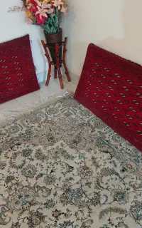 پشتی