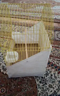 قفس پرنده