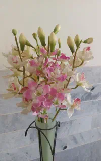 ۵ شاخه گل