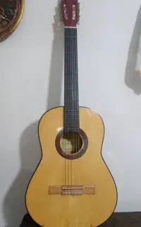 گیتار با پایه و کیف