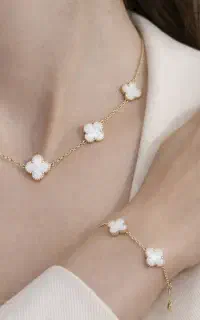 بدلیجات اکسسوری