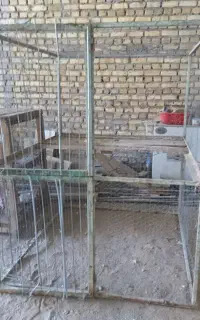 قفس آهنی