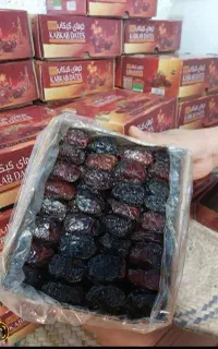 خرما مرواریدی از نخلستان‌های بوشهر