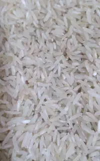 برنج فجر،لیزر وسورتینگ شده