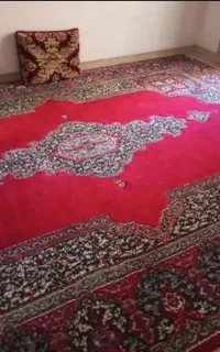 فروش فرش فوری پولشو لازم دارم نقدی