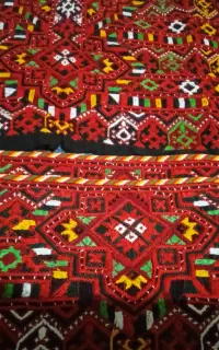 زی‌آستین گل لاله